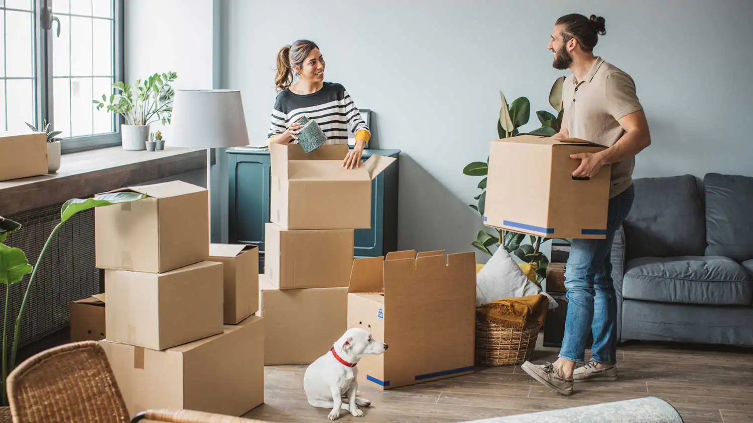 getting-ready-for-moving-day